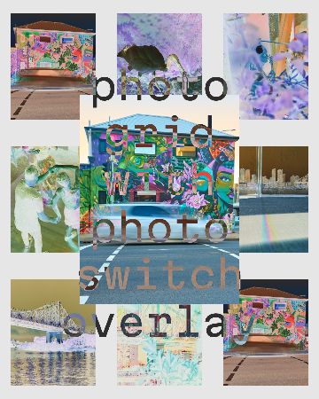 photo-grid-with-photo-switch-overlay