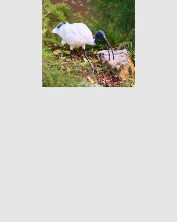 photo-stack-top-bottom